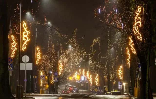 Sisli sokakta ağaçlara sarılmış turuncu tonlu LED yaprak sarmalları, gece