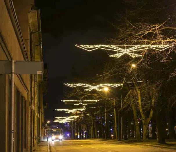 Ağaçlı caddede direkten direğe gerilmiş altın zigzag ışık kemerleri, gece