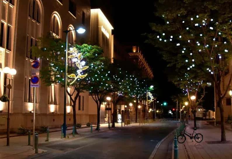 Cadde direklerine monte edilmiş beyaz çiçekli dal motifleri ve ağaçlarda serpme ışıklar