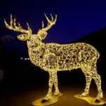 Geyik Figürü, 225 x 155 x 280 cm, sıcak beyaz led, ışıklı hayvan figürleri ürün fotoğrafı