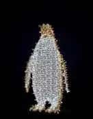 Penguen Figürü, 100 x 67 x 35 cm, soğuk ve sıcak beyaz led, ışıklı hayvan figürleri ürün fotoğrafı
