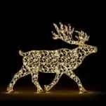 Ren Geyiği Figürü, 225 x 280 x 125 cm, sıcak beyaz led, ışıklı hayvan figürleri ürün fotoğrafı