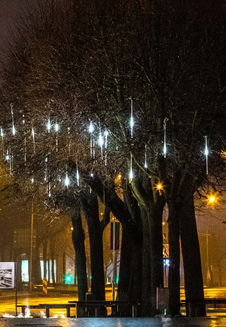 Gece ağaç dallarından sarkan beyaz meteor yağmuru LED tüpleri, altta aydınlık meydan