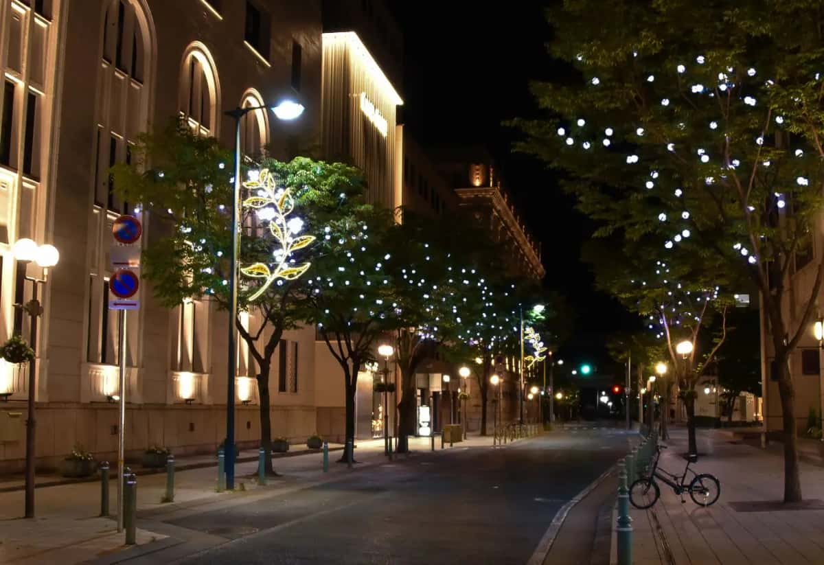 Tarihi binalar arasındaki sokakta ağaçlara sarılı soğuk beyaz LED noktalar, gece