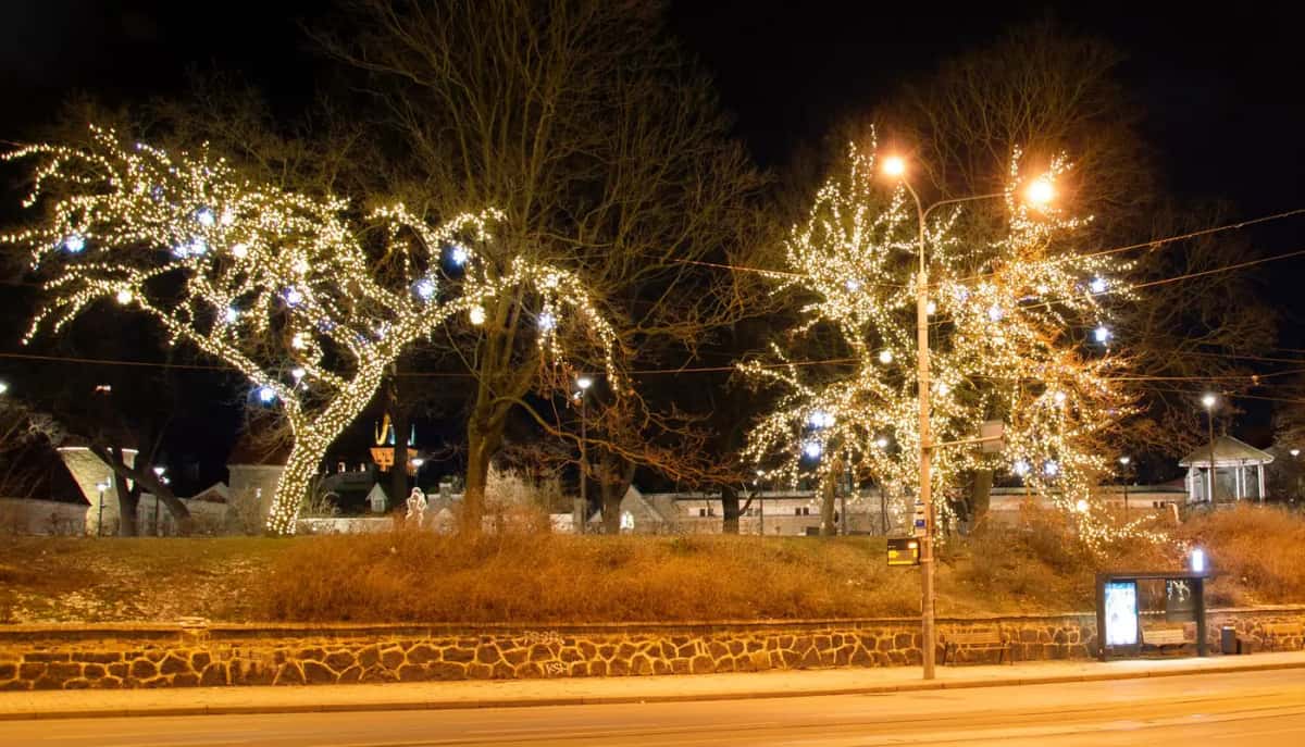 Gece yol kenarında sıcak beyaz LED ve beyaz toplarla süslenmiş iki ağaç