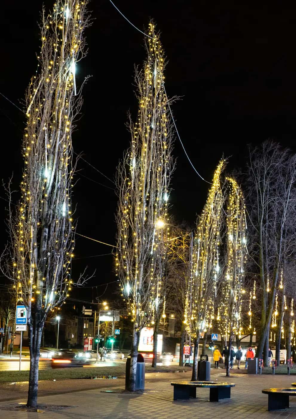 Gece şehir meydanında uzun dar ağaçlara baştan aşağı sarılı sıcak beyaz LED