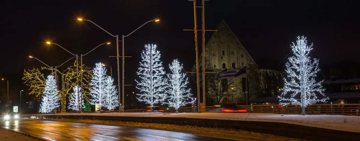 Aydınlatma direkli yol kenarında sıralanan beyaz LED dal ağaçları, ıslak asfalt, gece