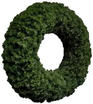 Beyaz fonda ışıksız, ortası boş kalın yeşil çam çelengi