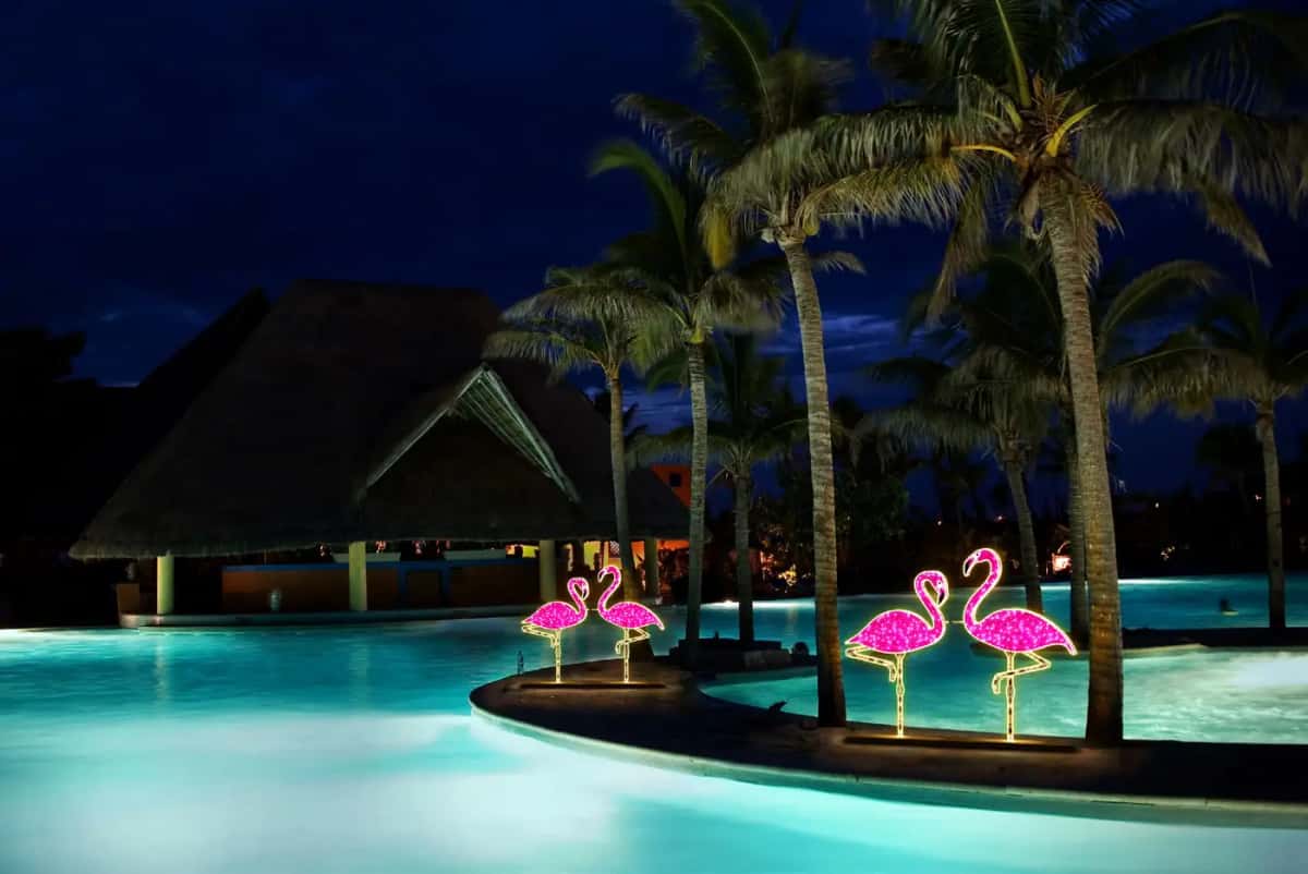 Palmiyeli otel havuzunun kenarında pembe LED flamingo figürleri, gece