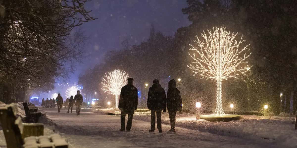 Karlı park yolunda yürüyen insanlar ve sıcak beyaz LED dal ağaçları, gece