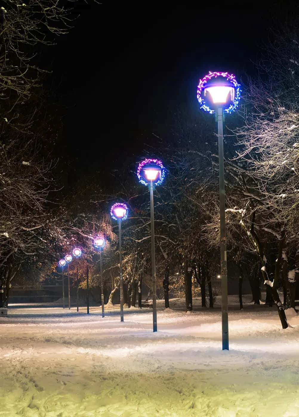 Karlı park yolunda sıralanmış lamba direklerinin tepesinde renkli LED halka süsleri, gece