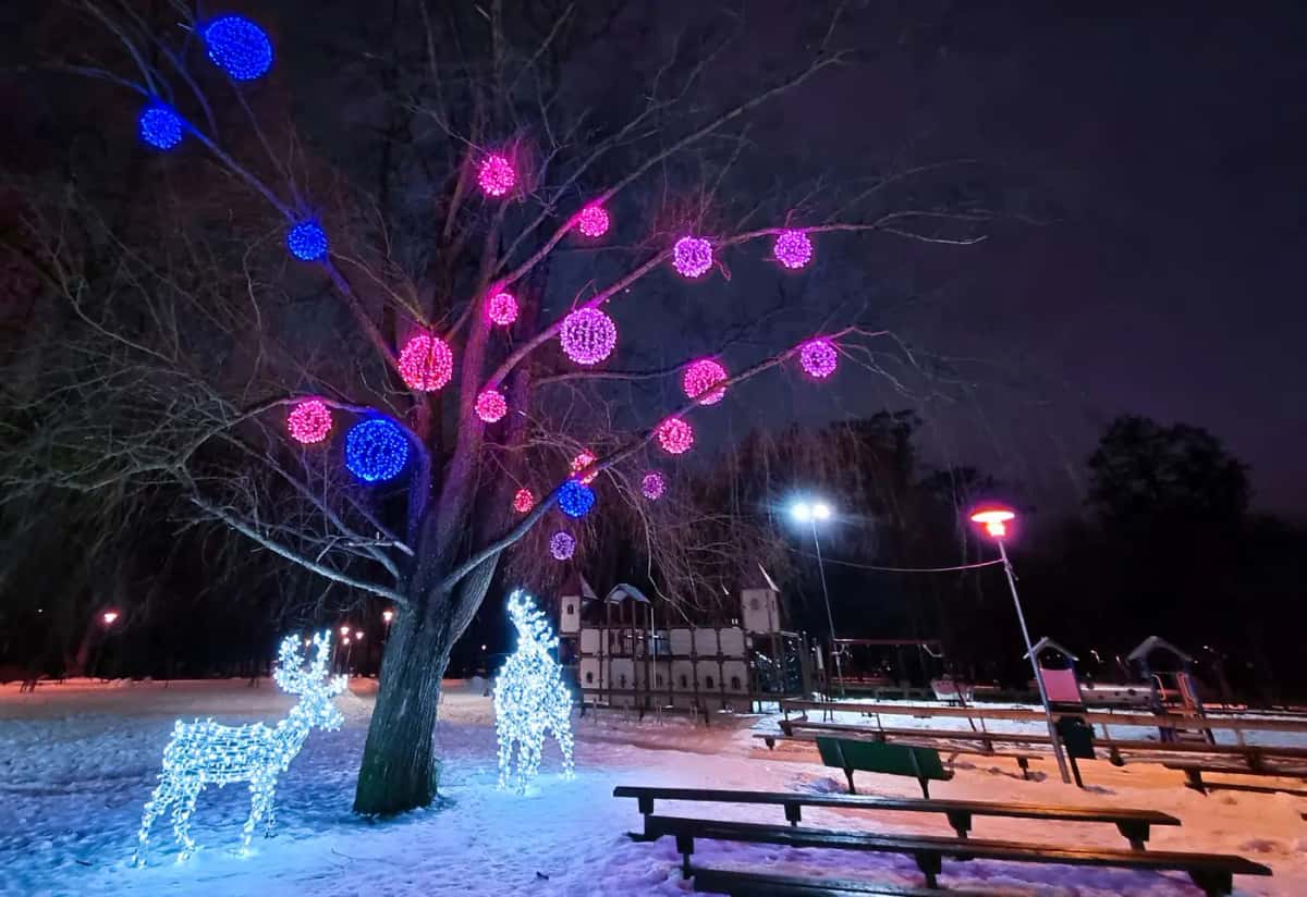 Karlı parkta çıplak ağaç dallarında pembe ve mavi LED toplar, yanda ışıklı geyik figürleri, gece