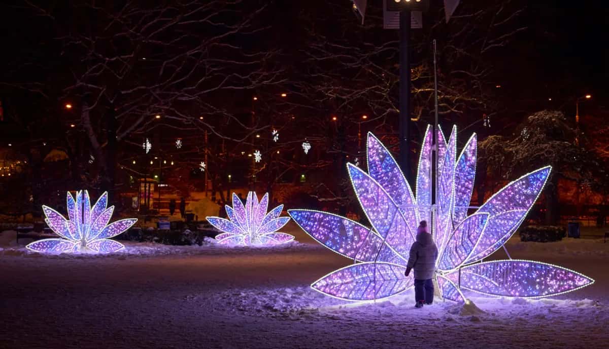 Karlı parkta büyük mor mavi LED çiçek figürleri, yanında duran bir kişi, gece
