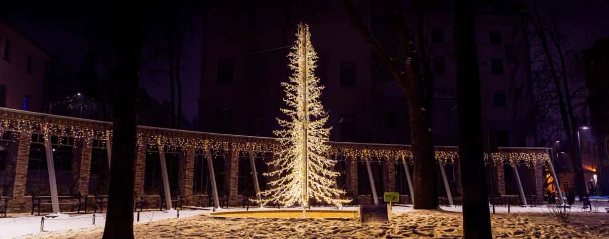 Parkta sıcak beyaz ışıklı konik ağaç ve arkasında sarkıt ışıklı kemerli yürüyüş yolu, gece